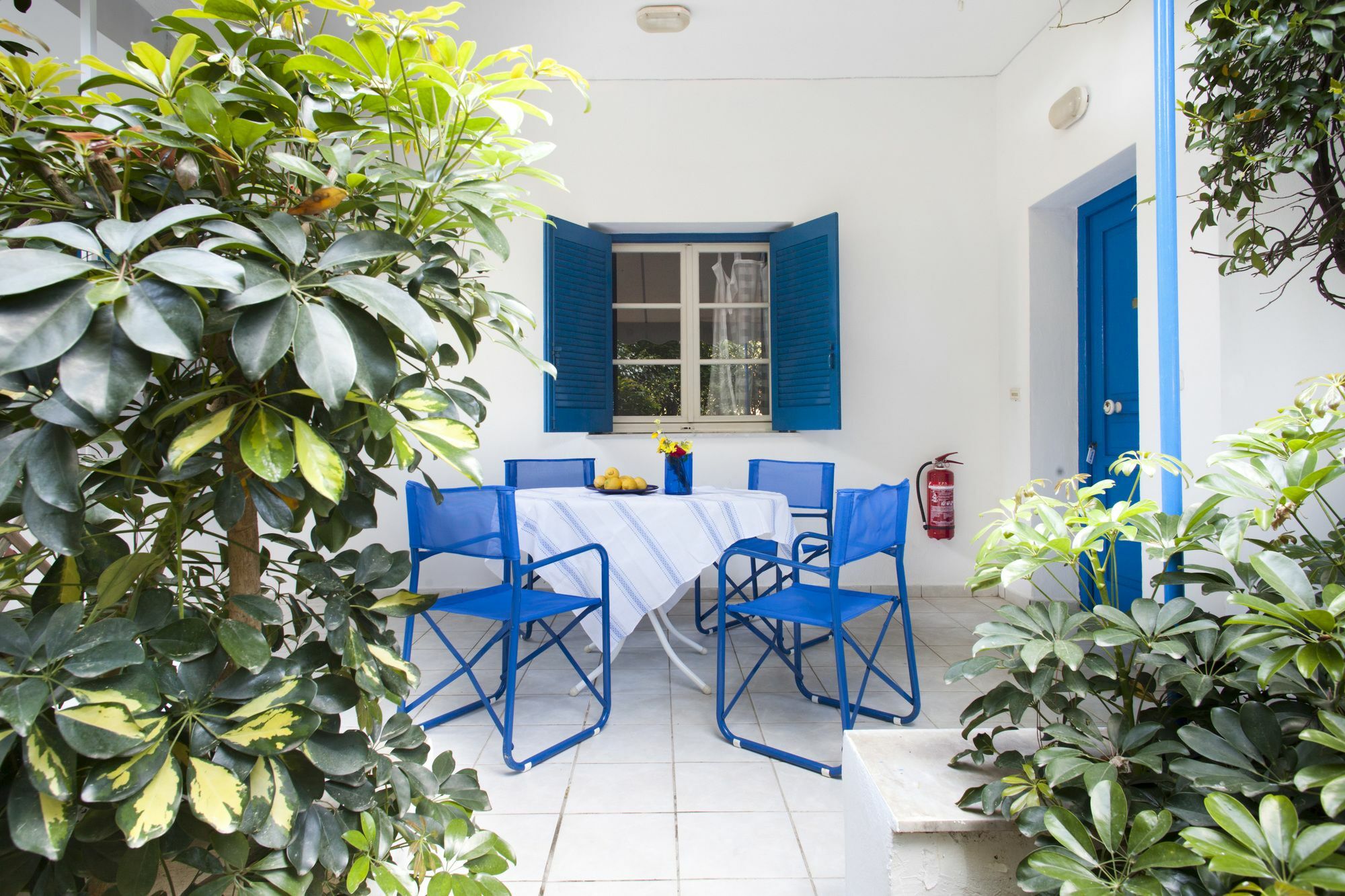 غزيلوكاسترون Daphne'S Club Hotel Apartments المظهر الخارجي الصورة
